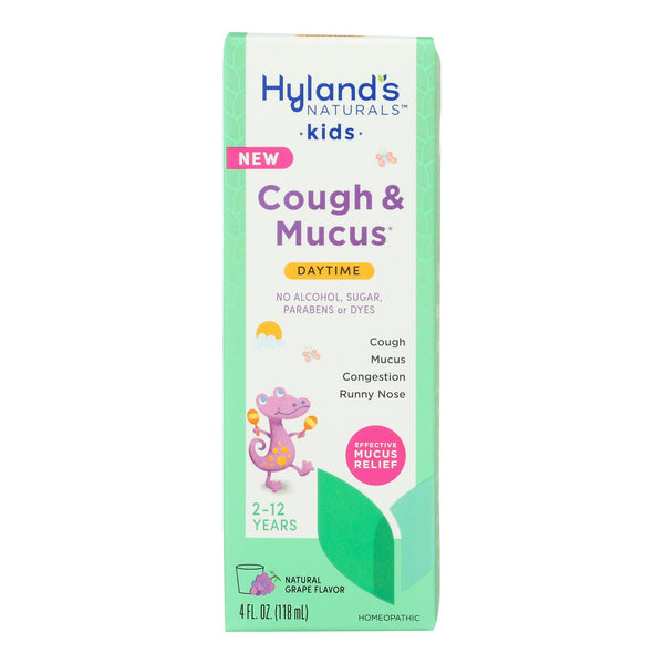 Hyland's - Kids Cough & Mucus Day - 1 Each-4 Fluid Ounce