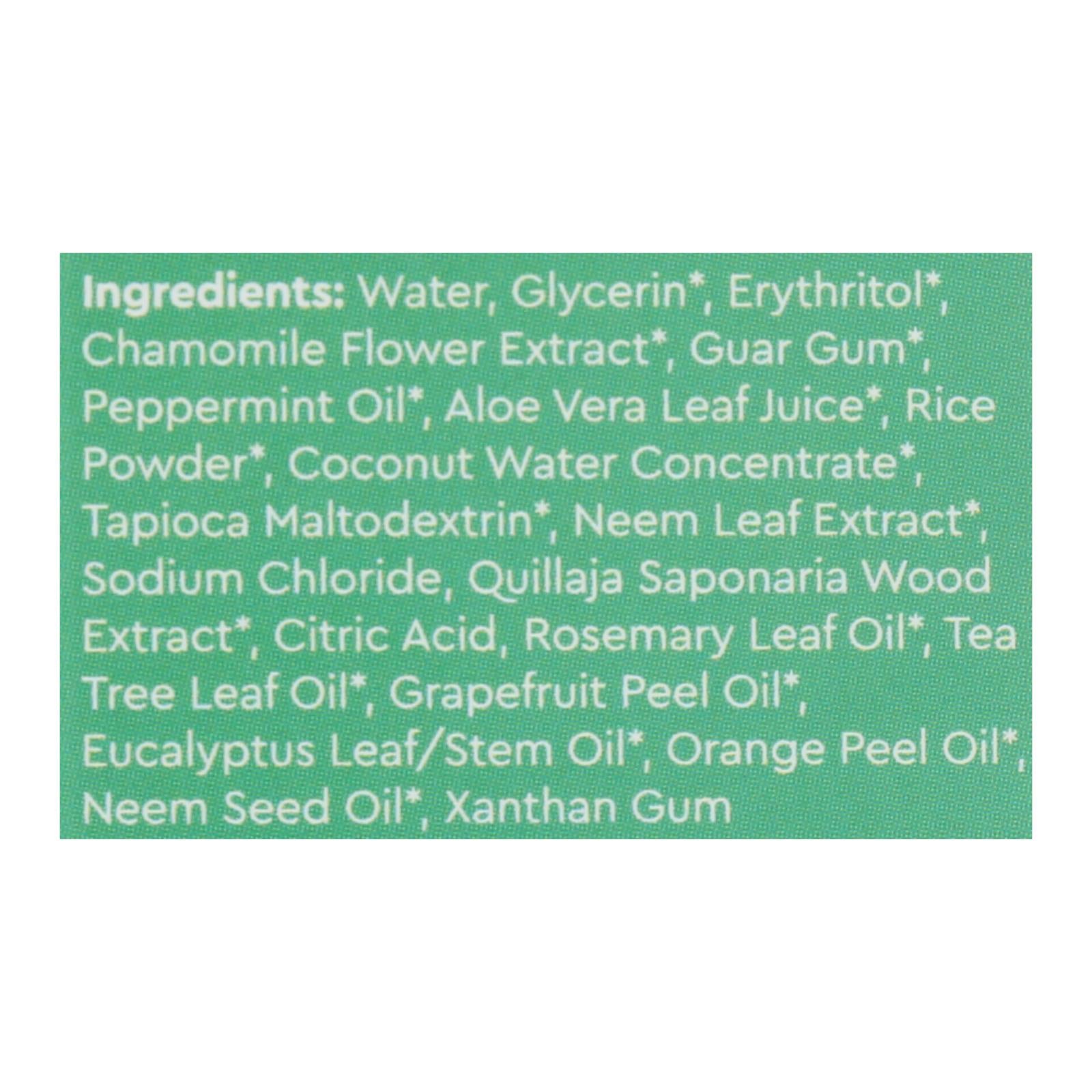 Radius Whitening Mint Aloe Neem Toothpaste  - 1 Each - 3 Ounce