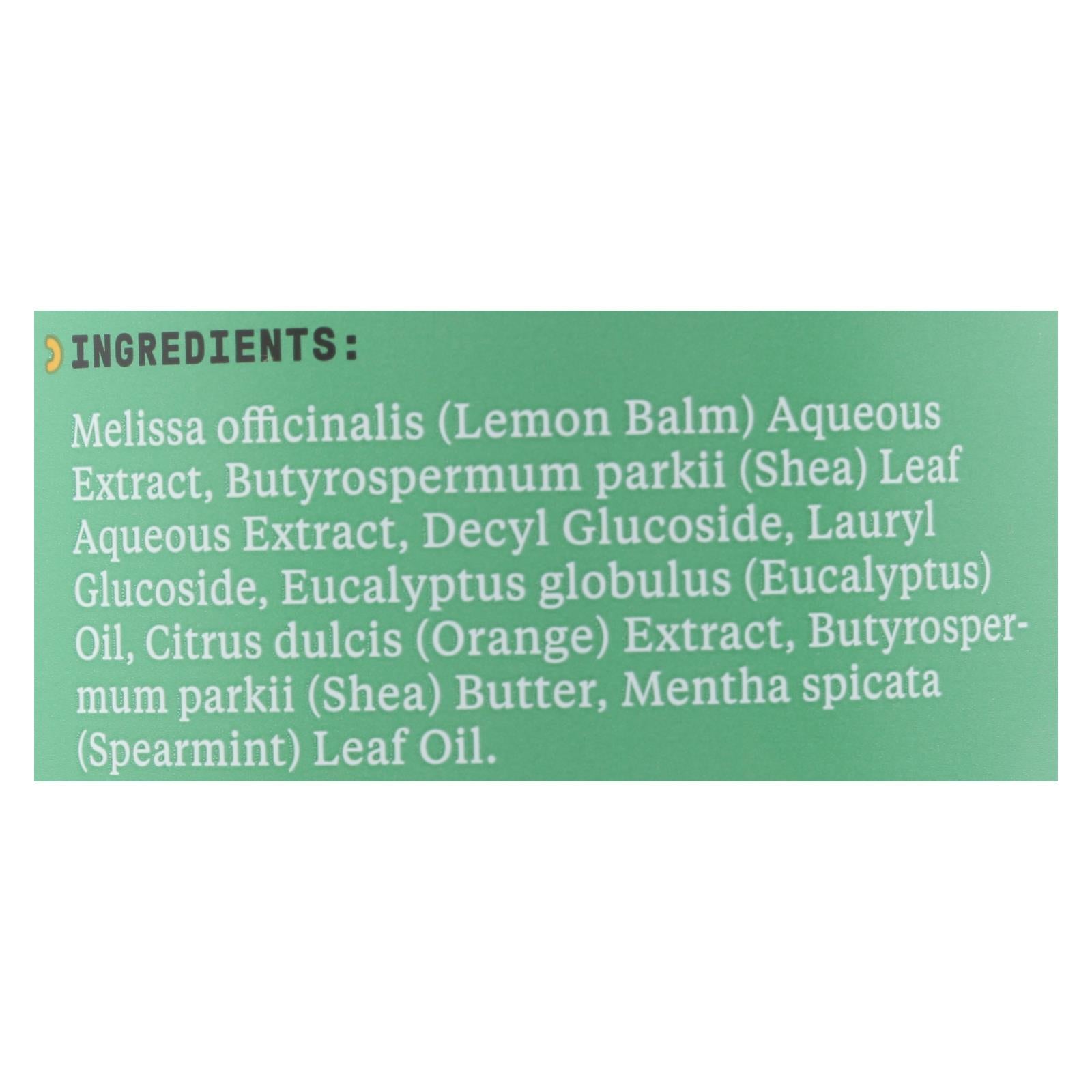 Alaffia Everyday Shea Cold Comforting Eucalyptus Babies Up Bubble Bath  - 1 Each - 32 Fluid Ounce