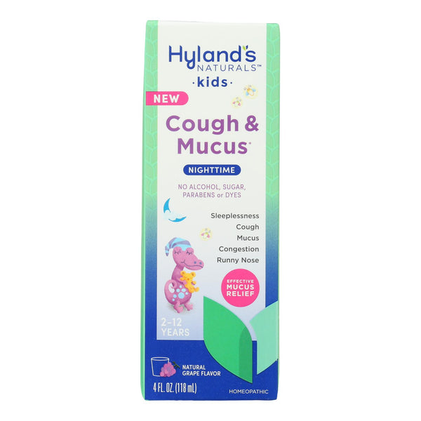 Hyland's - Kids Cough & Mucus Nghtme - 1 Each-4 Fluid Ounce