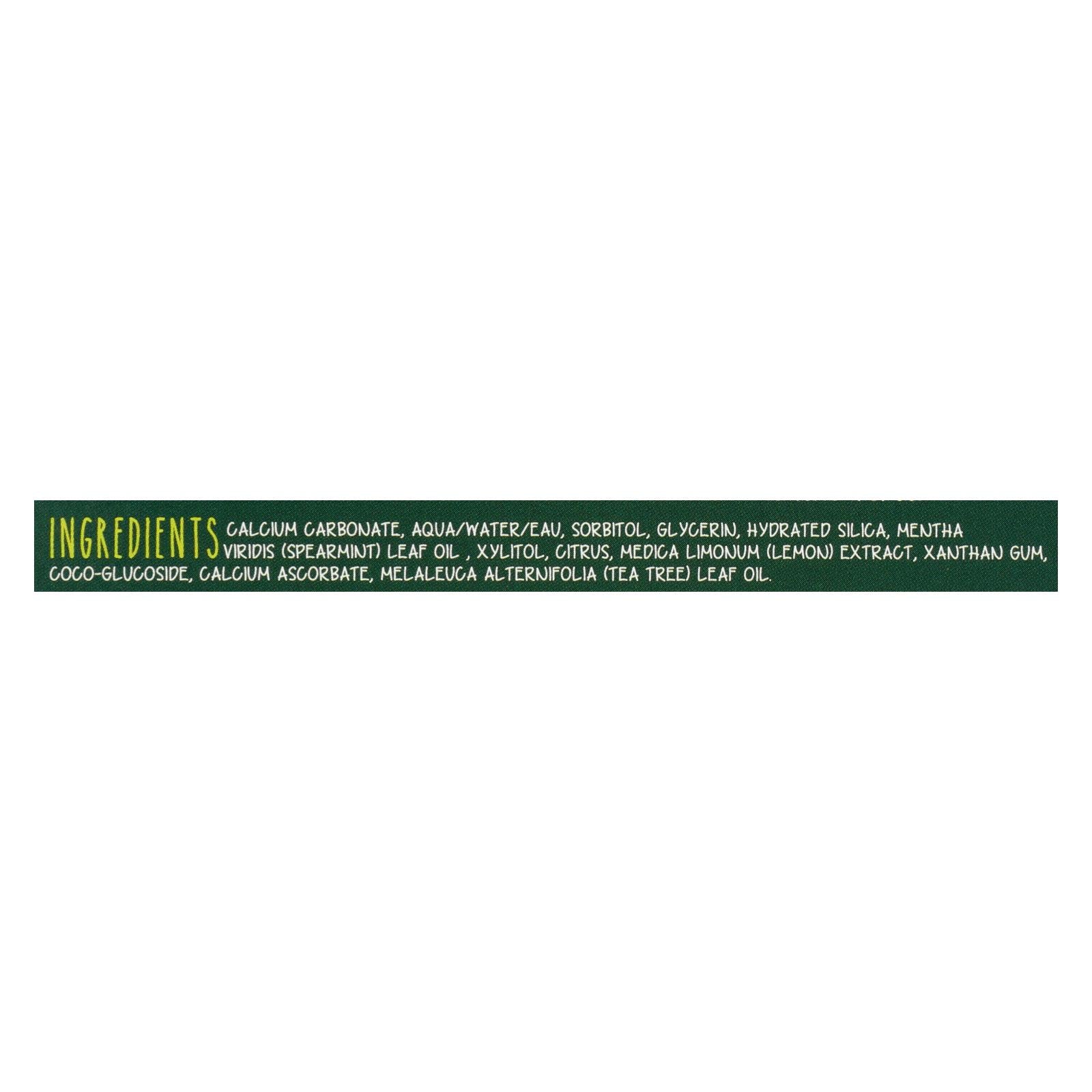 The Green Beaver Toothpaste - Spearmint Toothpaste - Case of 1 - 2.5 fl Ounce.