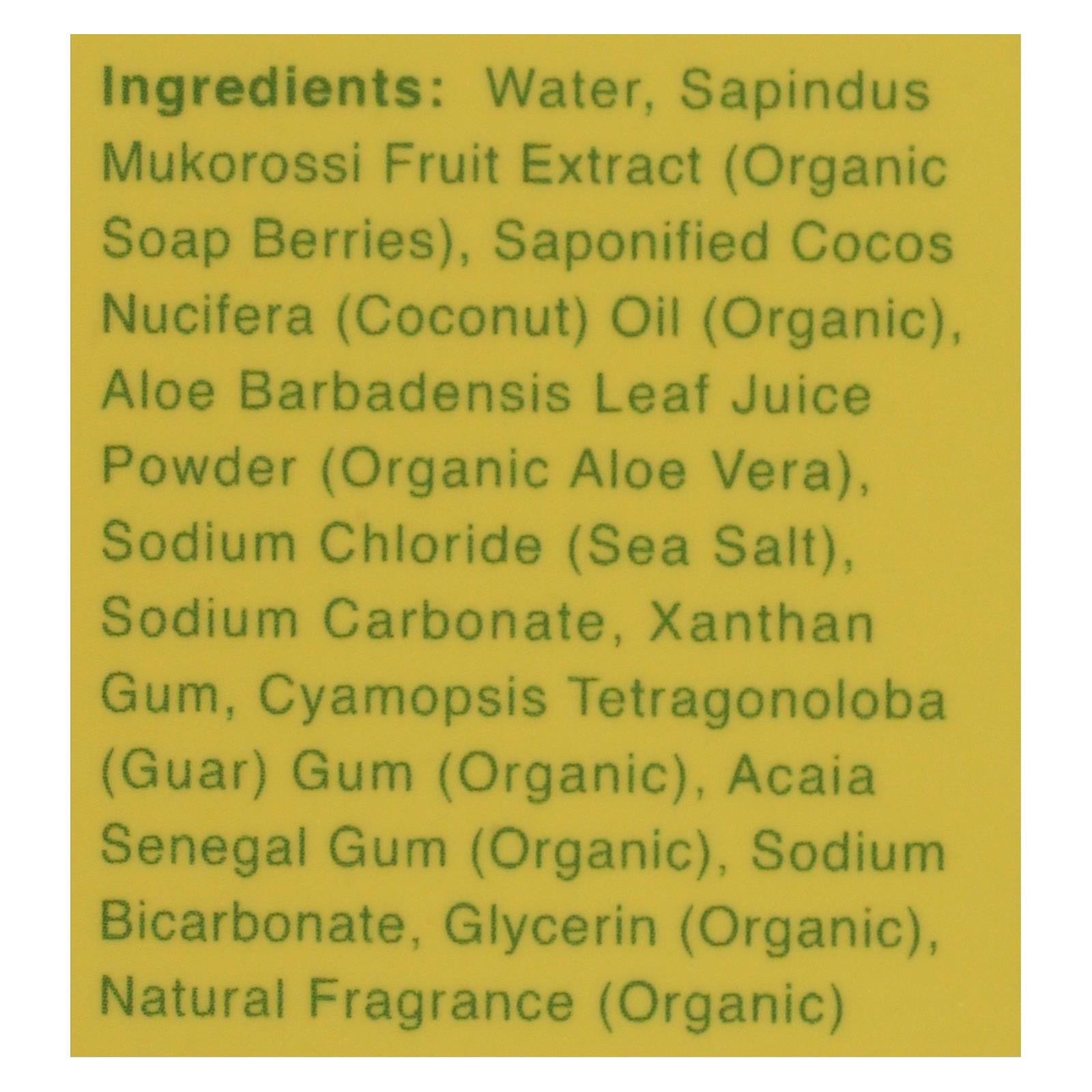 Rebel Green Laundry Detergent - Organic - Peppermint and Lemon - Case of 4 - 64 fl Ounce