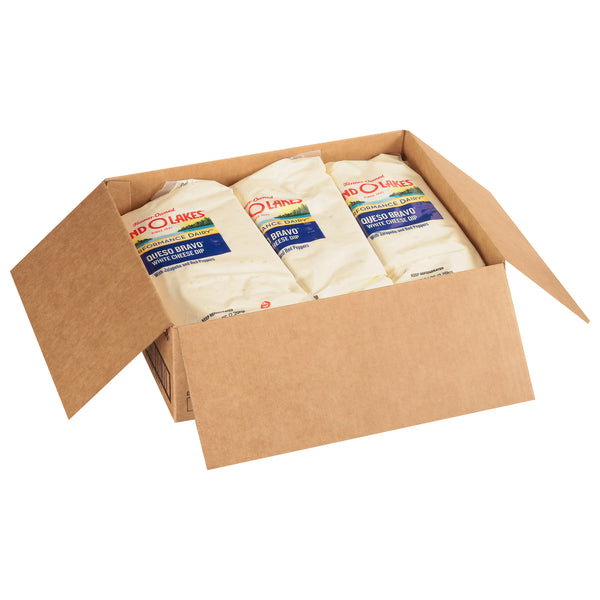 Land-O-Lakes® Queso Bravo® Cheese Dip With Jalapeno And Red Peppers White 5 Pound Each - 6 Per Case.