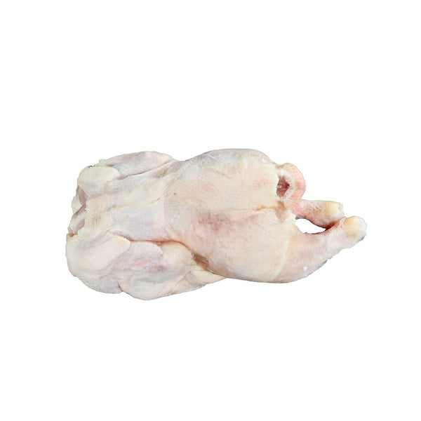 Chef's Choice Frozen Cornish Hen with 22 Giblets, 22 Ounce Size - 16 Per Case.