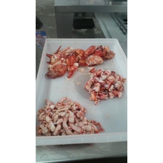 Frozen Seafood Commodity Lobster Meat Claw Knuckle Leg 2 Pound Each - 6 Per Case.