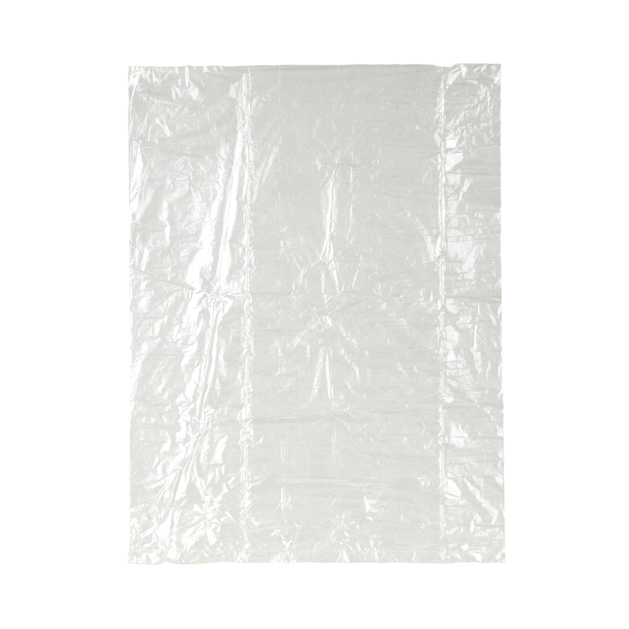 Bag Low Density Poly Roll Food Storage Bag 250 Each - 1 Per Case.
