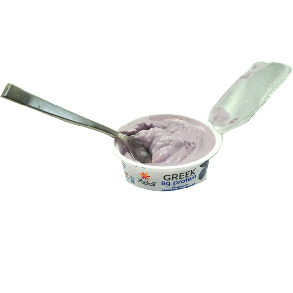 Yoplait® Greek Yogurt Single Serve Cup Blueberry 3.5 Ounce Size - 24 Per Case.