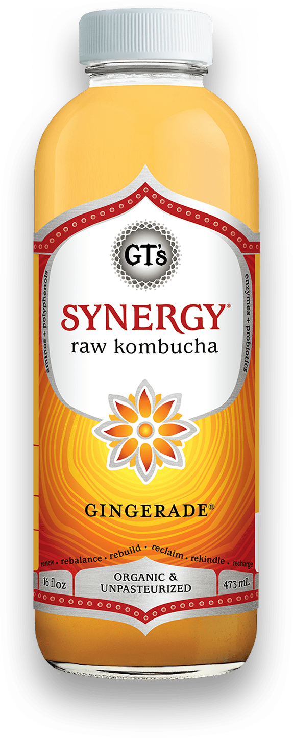 Gt's Synergy Kombucha Gingerade 16 Fluid Ounce - 6 Per Case.