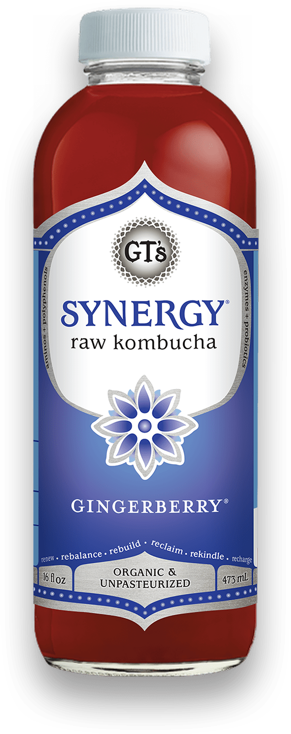 Gt's Synergy Kombucha Gingerberry 16 Fluid Ounce - 6 Per Case.