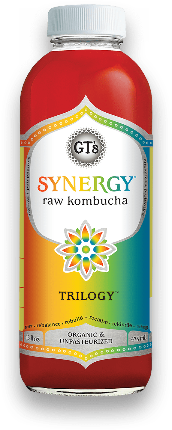 Gt's Synergy Kombucha Trilogy 16 Fluid Ounce - 6 Per Case.
