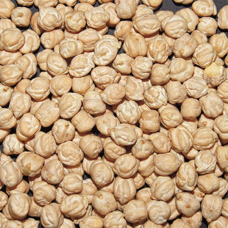 Jack Rabbit Garbanzo Beans 50 Pound Each - 1 Per Case.