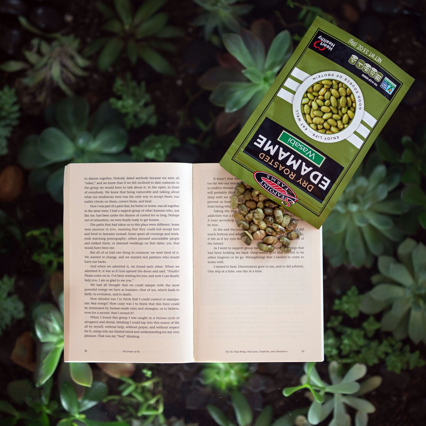 Dry Roasted Wasabi 3.5 Ounce Size - 108 Per Case.