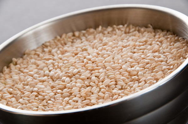 Short Grain Brown Rice 25 Pound Each - 1 Per Case.