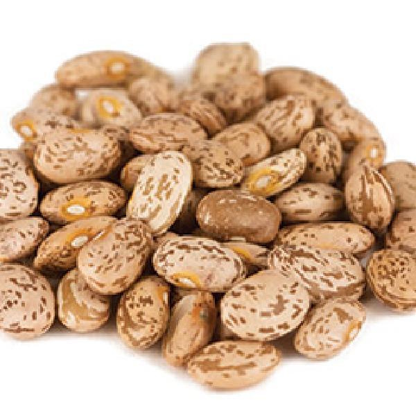 Commodity Prewashed Pinto Bean 20 Pound Each - 1 Per Case.