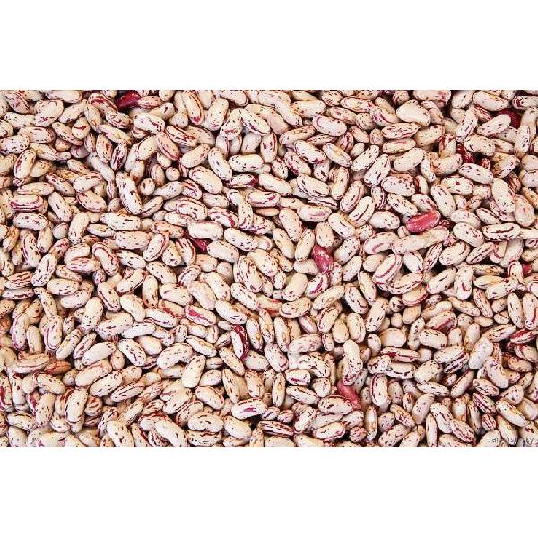 Commodity Beans Triple Clean Pinto Bean 1-25 Pound 1-25 Pound