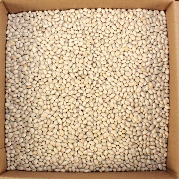 Commodity Beanpea Navy 20 Pound Each - 1 Per Case.
