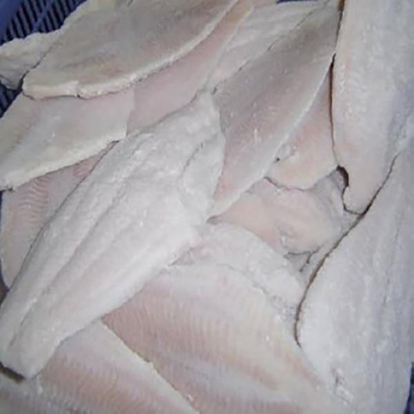 Frozen Seafood Commodity Seafood Channel Catfish 15 Pound Each - 1 Per Case.