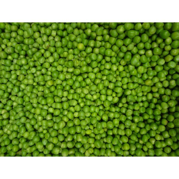 Commodity Peas Extra Standard Sieve Can 10 Cans - 6 Per Case.