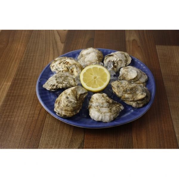 Handy Seafood East Coast Frozen Whole Oysters Product Of USA Per 100 Count Packs - 1 Per Case.